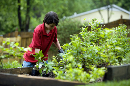 Quando fare i lavori in giardino?