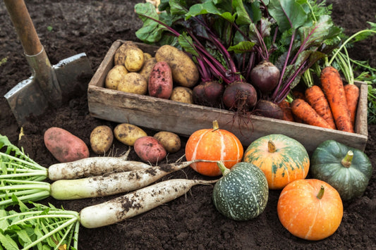 Quando si inizia a preparare il giardino per l’autunno?