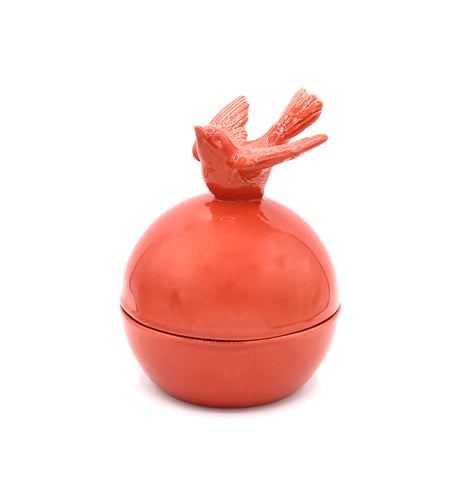 Rebirth Ceramic scatolina Nelson azzurro