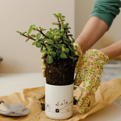 Mug en porcelaine Garden Räder